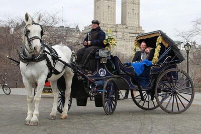 Official NYC Horse Carriage Rides in Central Park since 1979 ™
