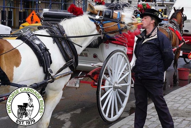 Official NYC Horse Carriage Rides in Central Park since 1979 ™ - Bethesda Terrace and Fountain are the visual center