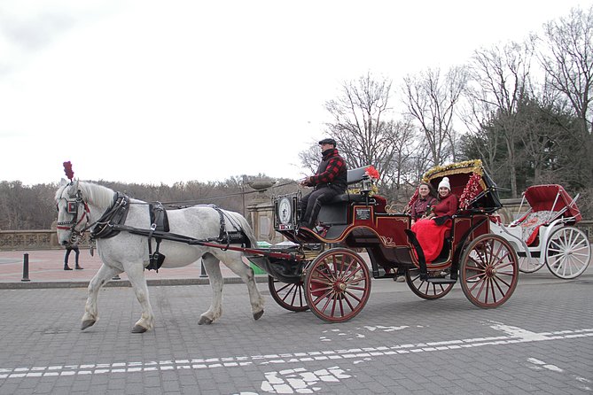 Official NYC Horse Carriage Rides in Central Park since 1979 ™ - Sheep Meadow, Tavern on the Green, and Columbus Circle