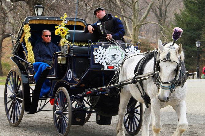 Official NYC Horse Carriage Rides in Central Park since 1979 ™ - The guides and horses make the difference