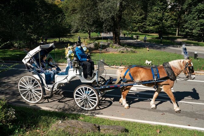 Official Private NYC Central Park Horse Carriage Ride Since 1970™ - Balto and the longer ride’s extra ground