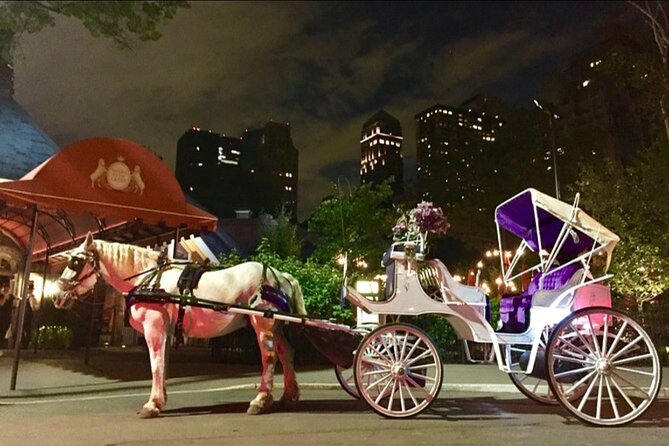 Official Private NYC Central Park Horse Carriage Ride Since 1970™ - Bethesda Terrace is the main photo stop