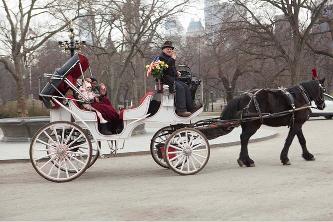 Official Private NYC Central Park Horse Carriage Ride Since 1970™ - Cherry Hill, the horse, and the best personal moment
