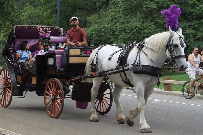 Official Private NYC Central Park Horse Carriage Ride Since 1970™ - Why the guide matters more than the carriage