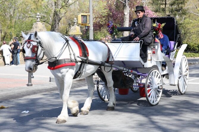 Official Private NYC Central Park Horse Carriage Ride Since 1970™ - From the Carousel to Chess and Checkers House
