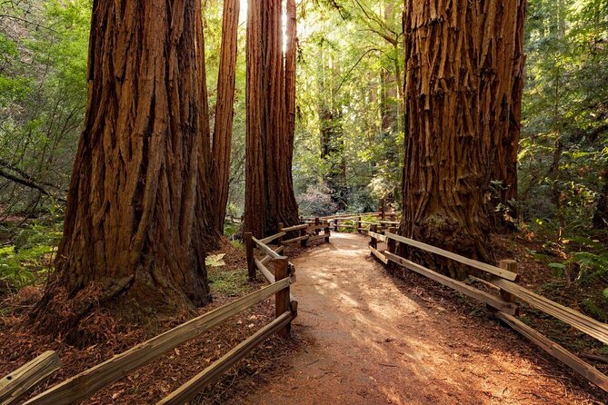 One Day in San Francisco: Alcatraz, Muir Woods, and SF City Tour - Key points to know before booking