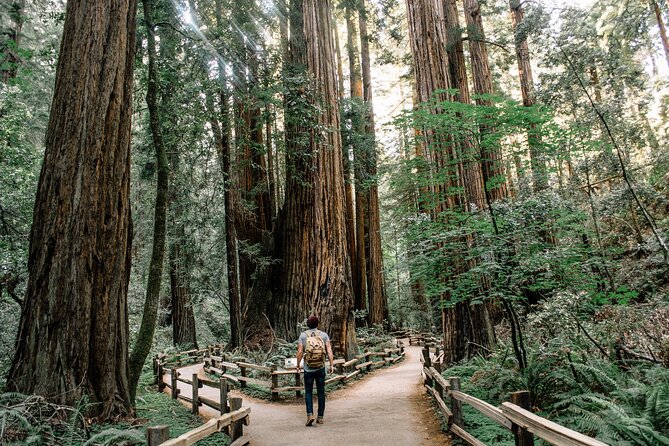 One Day in San Francisco: Alcatraz, Muir Woods, and SF City Tour - Palace of Fine Arts and the city’s grandest photo stop