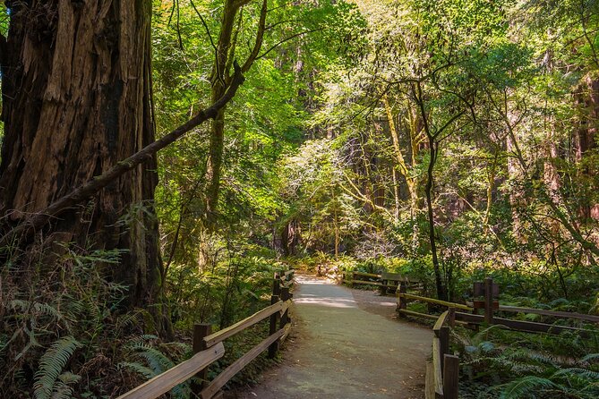 One Day in San Francisco: Alcatraz, Muir Woods, and SF City Tour - North Beach, Fisherman’s Wharf, and Chinatown from the minibus