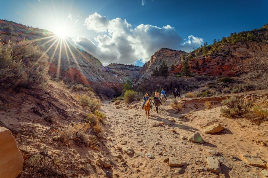 Orderville: East Zion Park White Mountain Horseback Tour - Key points to know before you book