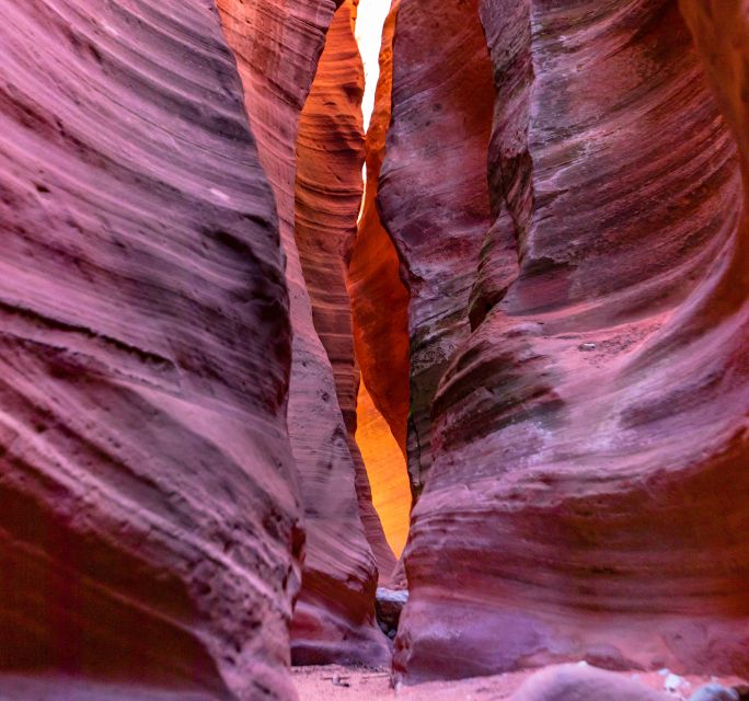 Orderville: East Zion Park White Mountain Horseback Tour - Who should book this one-hour tour?