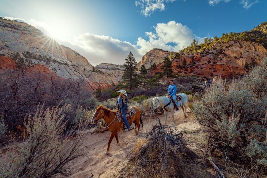 Orderville: East Zion Park White Mountain Horseback Tour - My take: a good-value taste of cowboy country