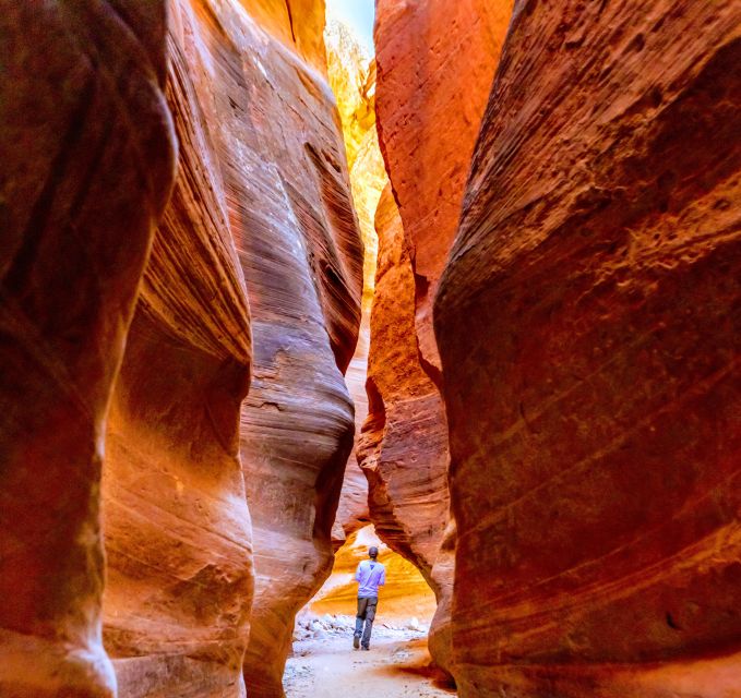 Orderville: East Zion Park White Mountain Horseback Tour - At the stables, friendly horses and a gentle start