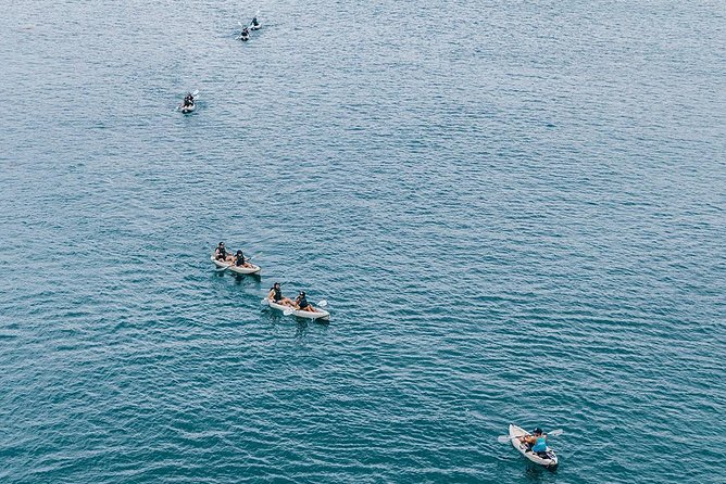 Original La Jolla Sea Cave Kayak Tour for Two - Emerald Cave and the limits of the picture