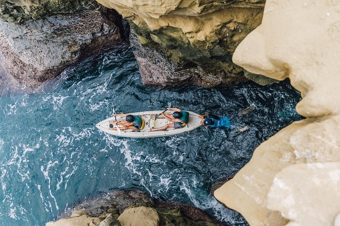 Original La Jolla Sea Cave Kayak Tour for Two - Stop 2: The water and marine life