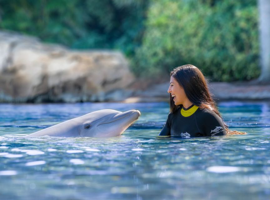 Orlando: Discovery Cove Admission Ticket & Additional Parks - Key points to know before booking