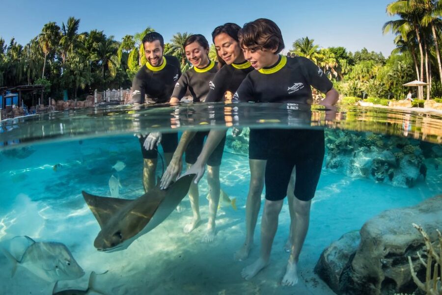 Orlando: Discovery Cove Admission Ticket & Additional Parks - Why Discovery Cove feels different from Orlando’s theme parks
