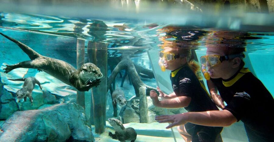 Orlando: Discovery Cove Admission Ticket & Additional Parks - Is the price good value at $144?
