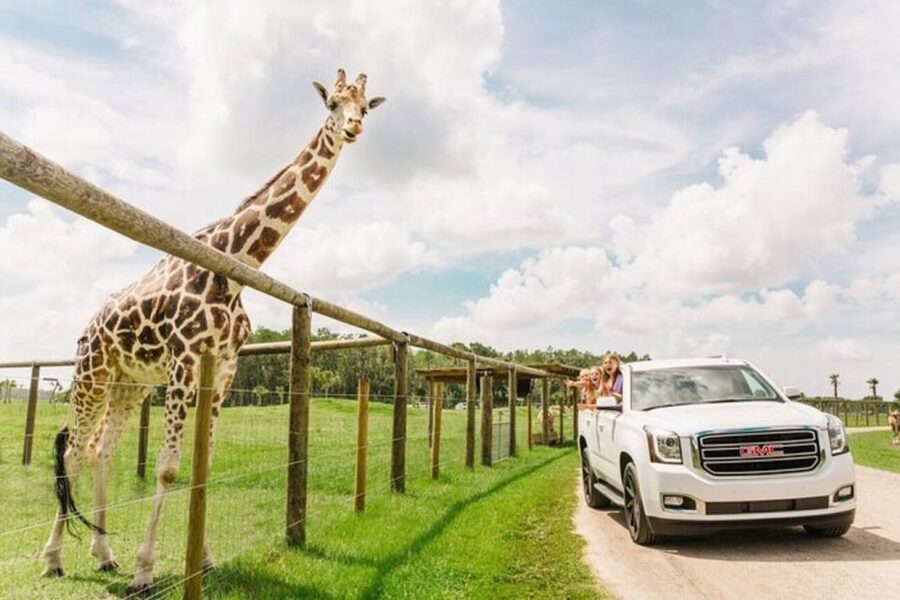 Orlando: Drive-Thru Safari Park at Wild Florida - Quick points to know