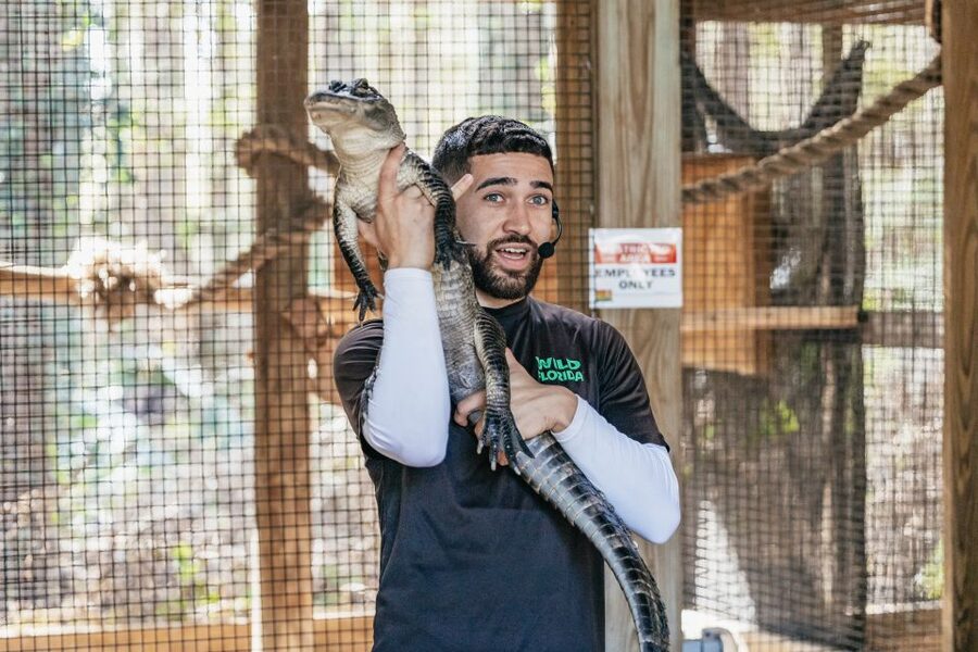 Orlando: Drive-Thru Safari Park at Wild Florida - What the full day can include