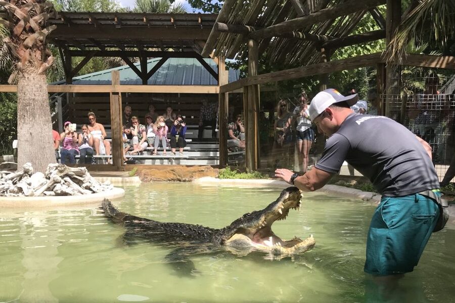 Orlando: Everglades Airboat Ride and Wildlife Park Ticket - My booking advice
