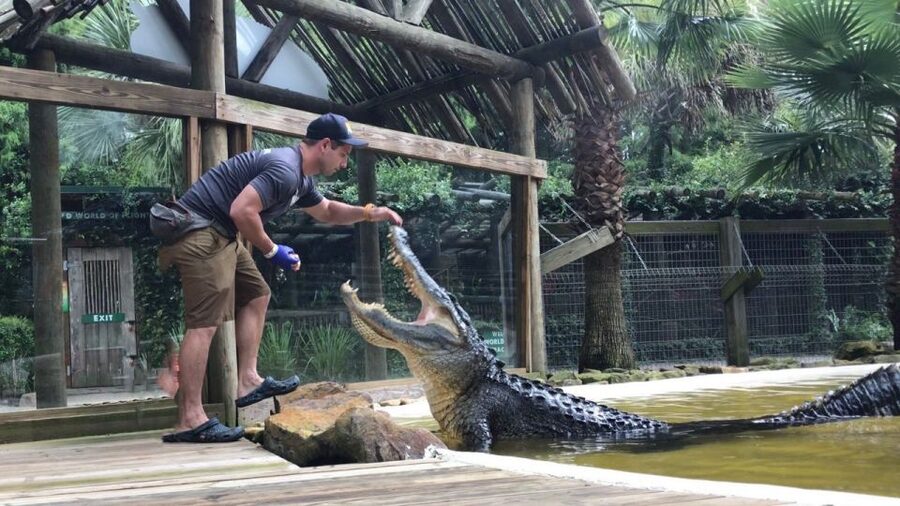 Orlando: Everglades Airboat Ride and Wildlife Park Ticket - Getting there and planning your day