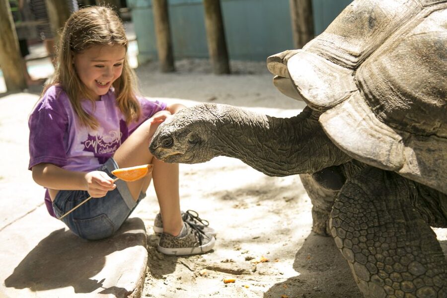 Orlando: Gatorland Skip-the-Line Ticket - Gatorland’s famous entrance and Old Florida feel