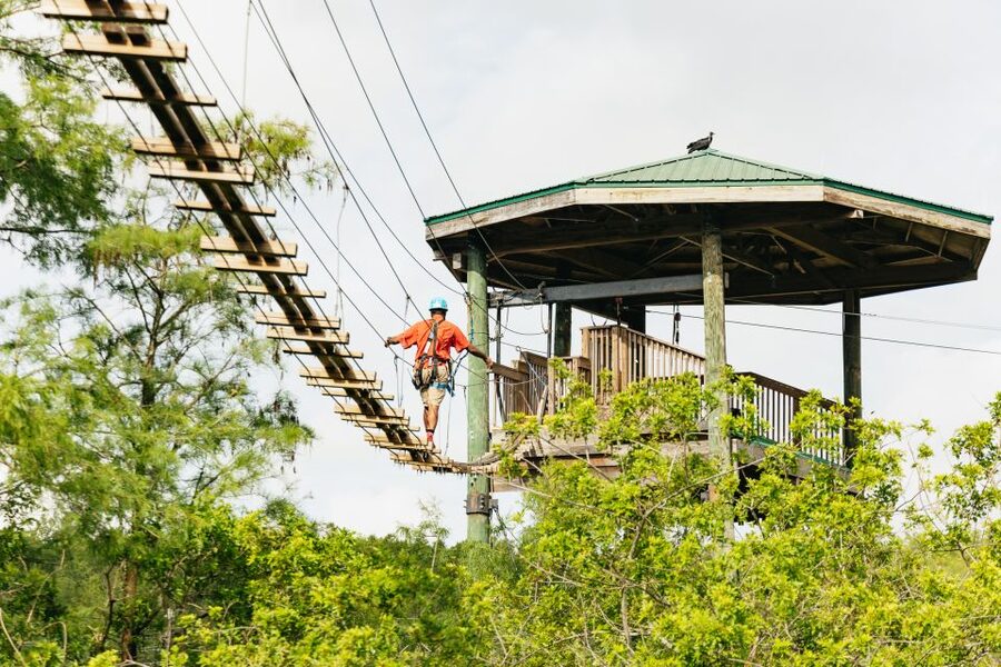 Orlando: Gatorland Skip-the-Line Ticket - Legends of the Swamp puts experts beside live gators