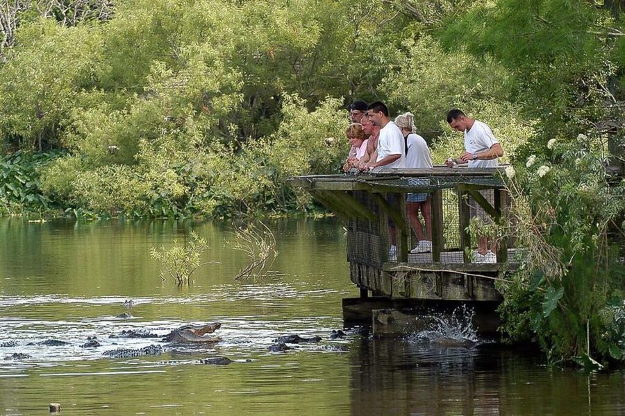 Orlando: Gatorland Skip-the-Line Ticket - Optional extras can change the value quickly