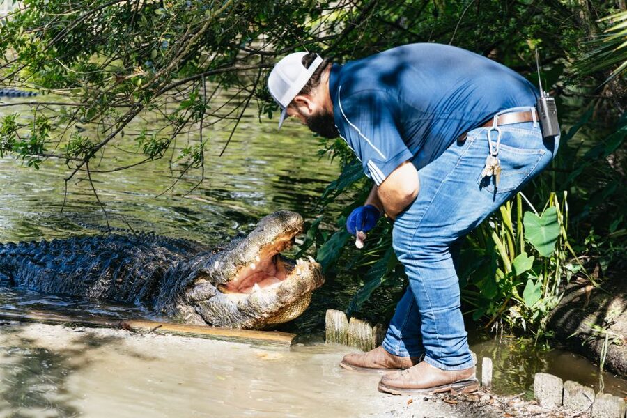 Orlando: Gatorland Skip-the-Line Ticket - Thousands of alligators, crocodiles, and other animals
