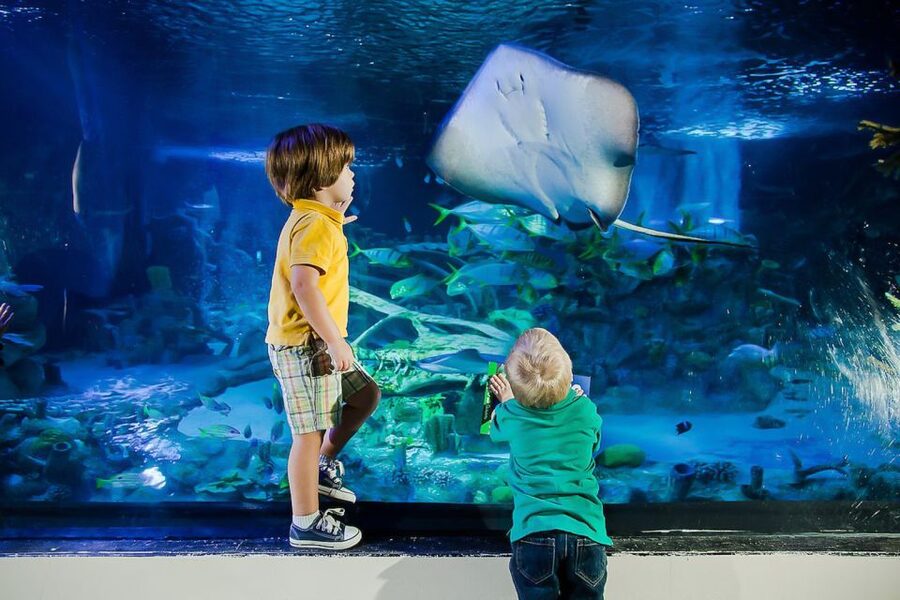 Orlando: Madame Tussauds and SEA LIFE Aquarium Combo Ticket - SEA LIFE Aquarium: the stronger stop for hands-on fun