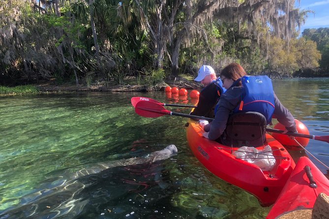 Orlando Manatee Encounters - Key points to know before you paddle
