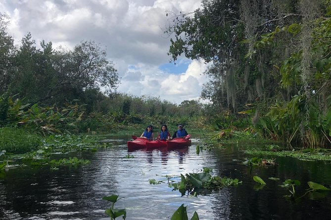 Orlando Manatee Encounters - Reaching the spring and finding the manatees