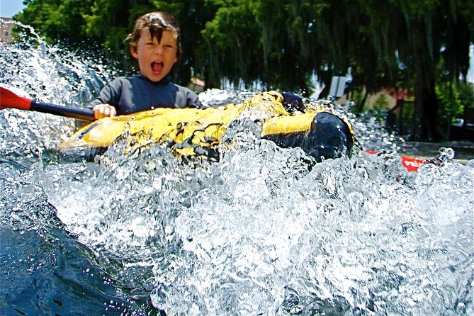 Orlando Manatee Encounters - Why the small group matters