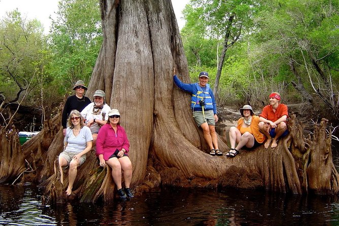 Orlando Manatee Encounters - The weather and seasonal tradeoff