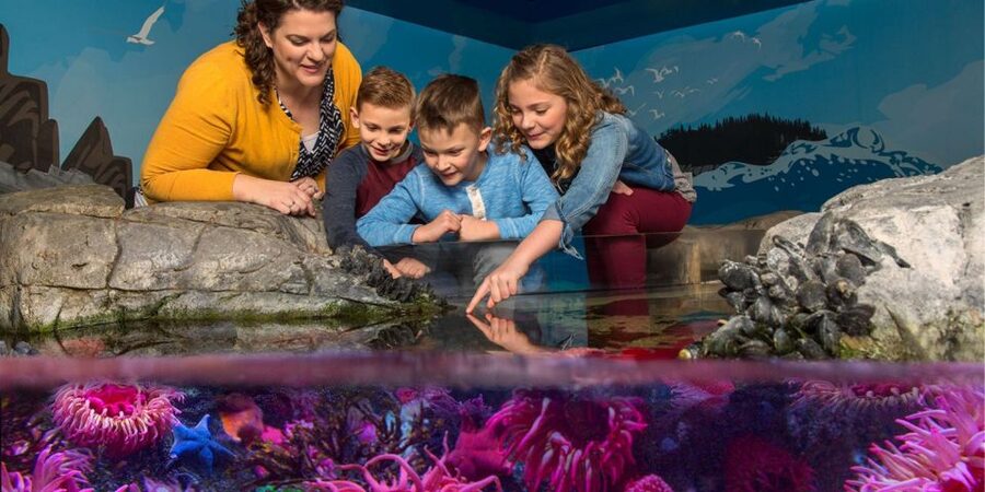 Orlando: SEA LIFE Orlando Aquarium - The virtual reality shark experience needs a time check