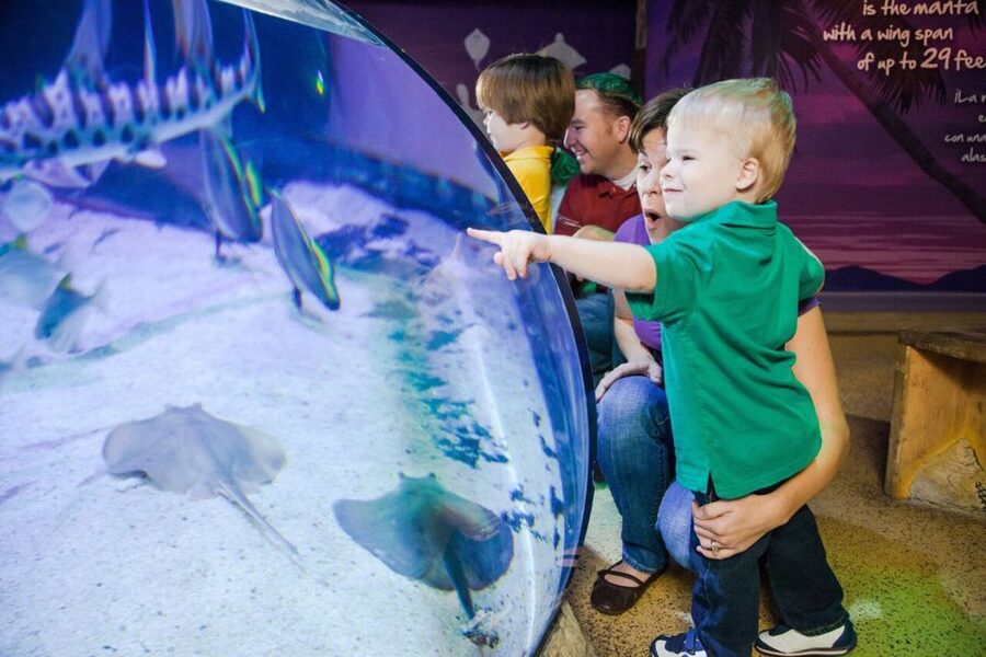 Orlando: SEA LIFE Orlando Aquarium - Is $30 a fair price?
