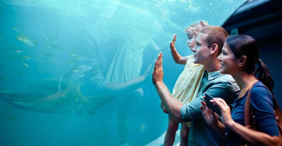 Orlando: SEA LIFE Orlando Aquarium - Accessibility and practical details