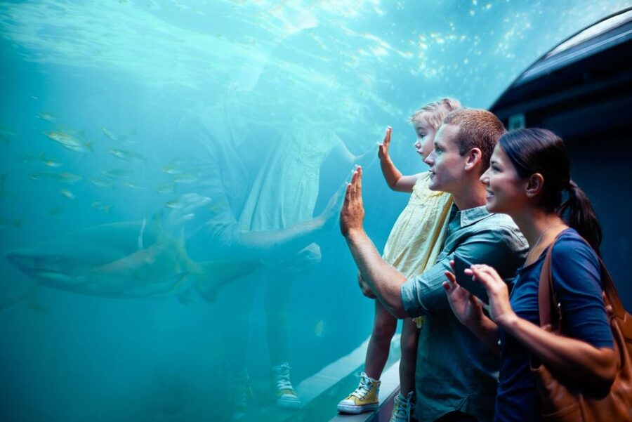 Orlando: SEA LIFE Orlando Aquarium - Who will enjoy SEA LIFE Orlando most?
