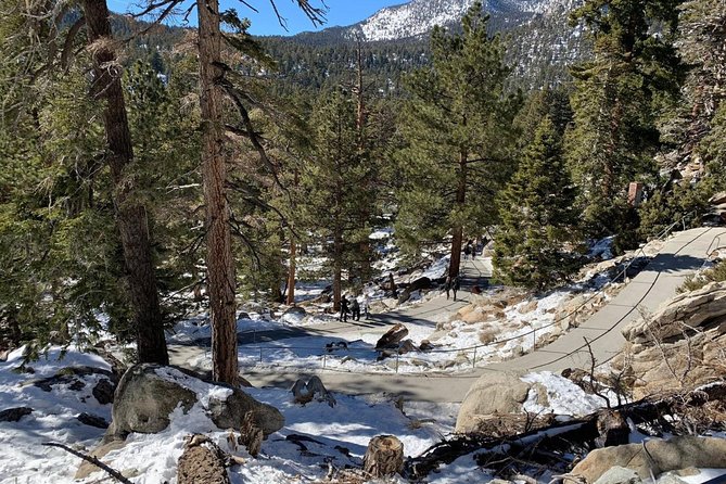 Palm Springs Aerial Tramway Admission Ticket - Key points to know before you go