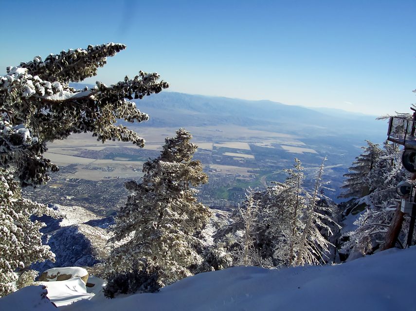 Palm Springs: Aerial Tramway Round-Trip Ticket - Getting your timed tram ticket
