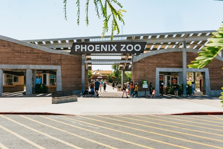Phoenix Zoo One Day General Admission Ticket - The animals worth building your route around