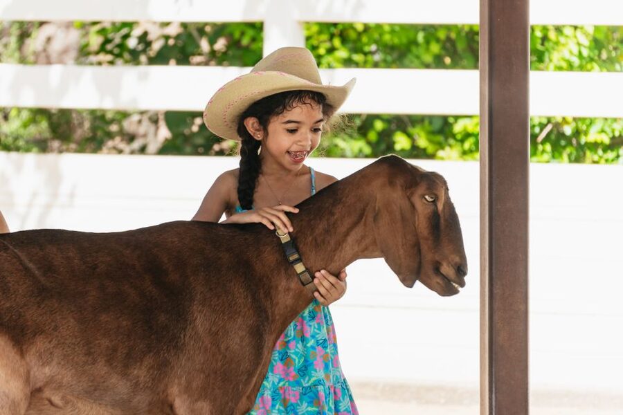 Phoenix Zoo One Day General Admission Ticket - What costs extra beyond the $39 ticket