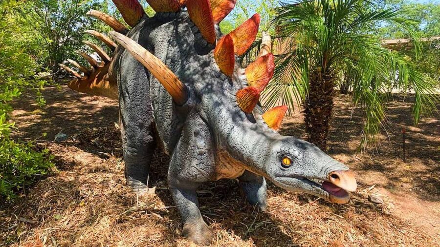 Phoenix Zoo One Day General Admission Ticket - Start with the trail that suits your group