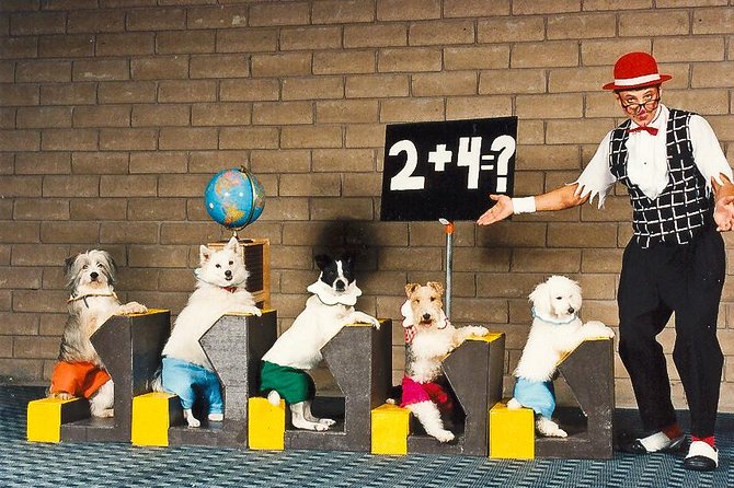 Popovich Comedy Pet Theater at Planet Hollywood Resort and Casino - Booking, cancellation, and timing tips