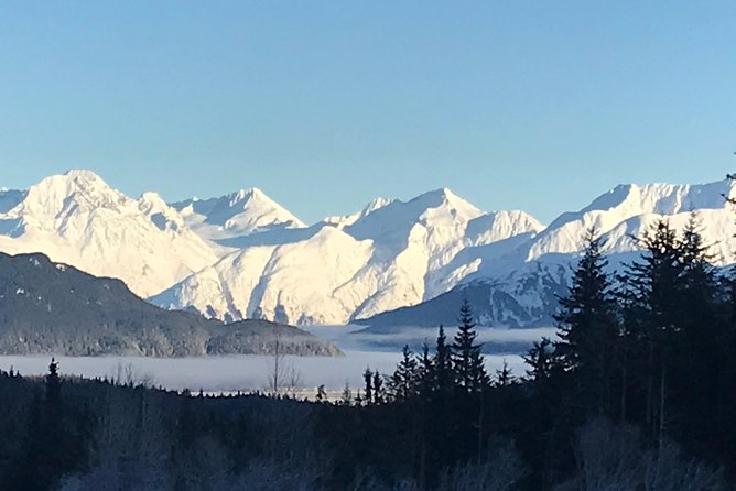 Portage Glacier Cruise and Wildlife Explorer Tour - What the $239 price really buys you