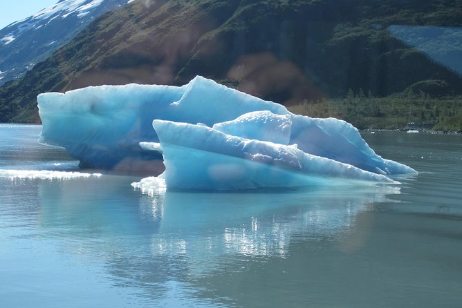 Portage Glacier Cruise and Wildlife Explorer Tour - Timing, clothing, and small practical details
