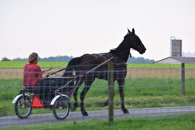 Premium Amish Country Tour including Amish Farm and House - The 15-acre farmstead is the relaxed part