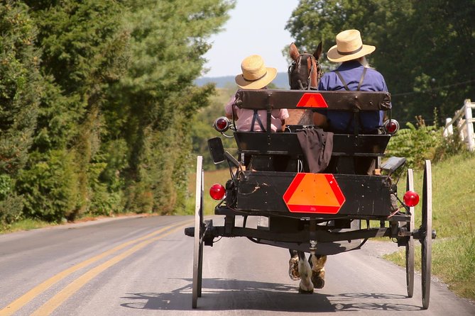 Premium Amish Country Tour including Amish Farm and House - The 90-minute ride through Amish backroads