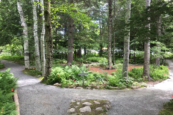 Premium Narrated Bus Tour of Bar Harbor and Acadia National Park (3.5 Hours) - The narration is the real added value