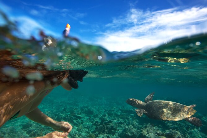 Premium Oahu Circle Island Tour – Small Group, No Crowds - Makapuʻu Point and Oahu’s southeastern cliffs
